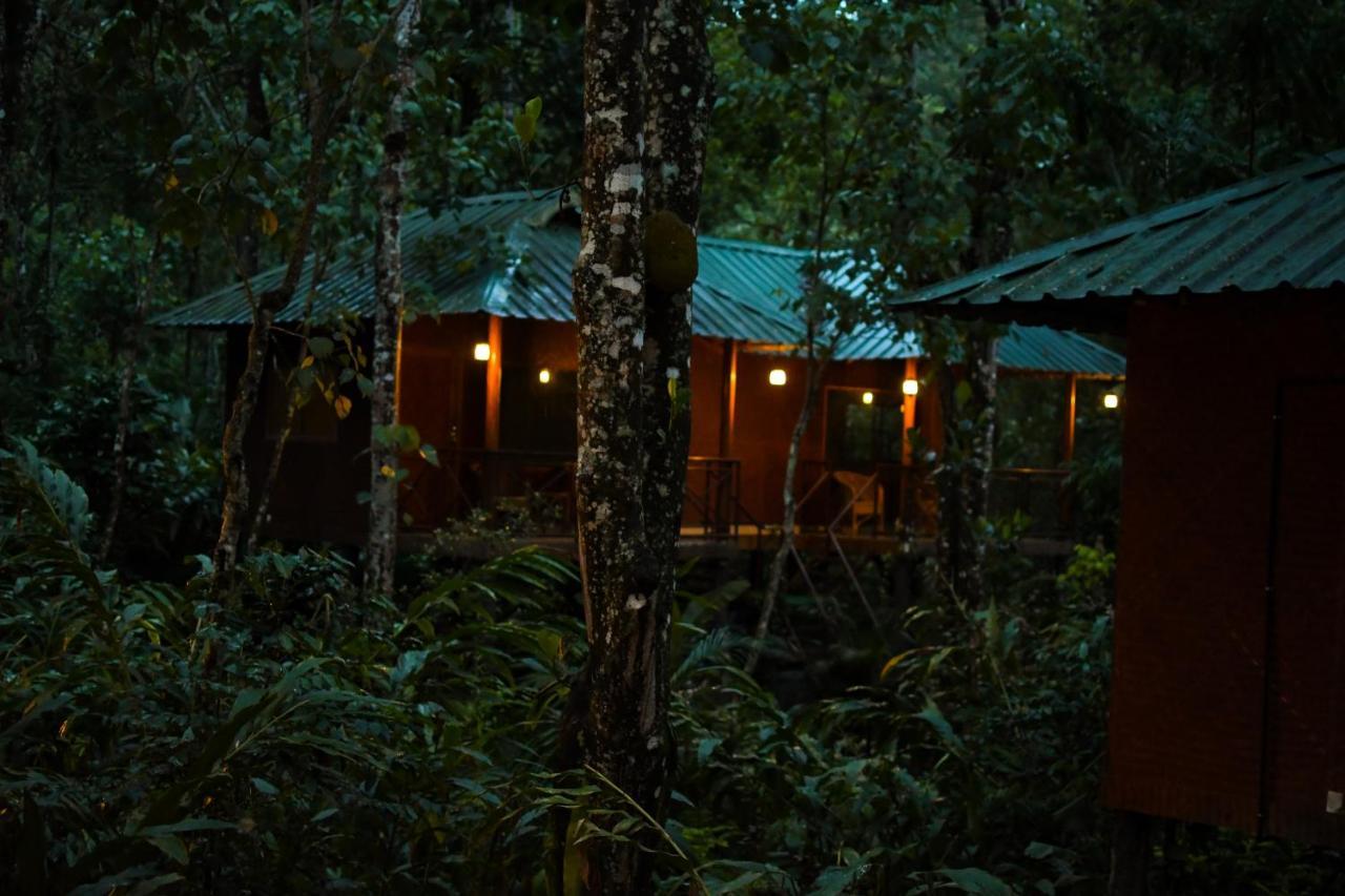 Monsoon Retreats Ecostay- Treehouse Thekkady Exterior foto