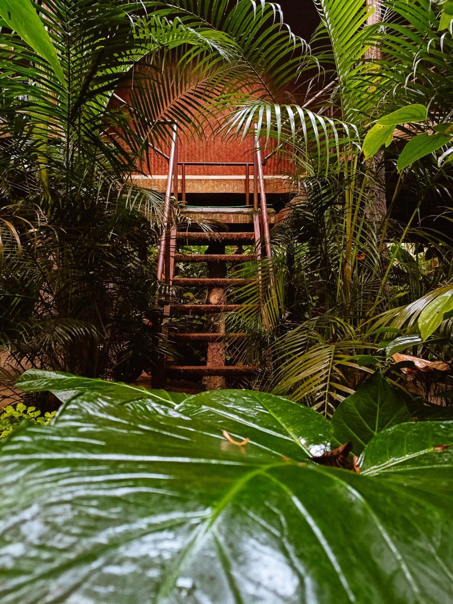 Monsoon Retreats Ecostay- Treehouse Thekkady Habitación foto