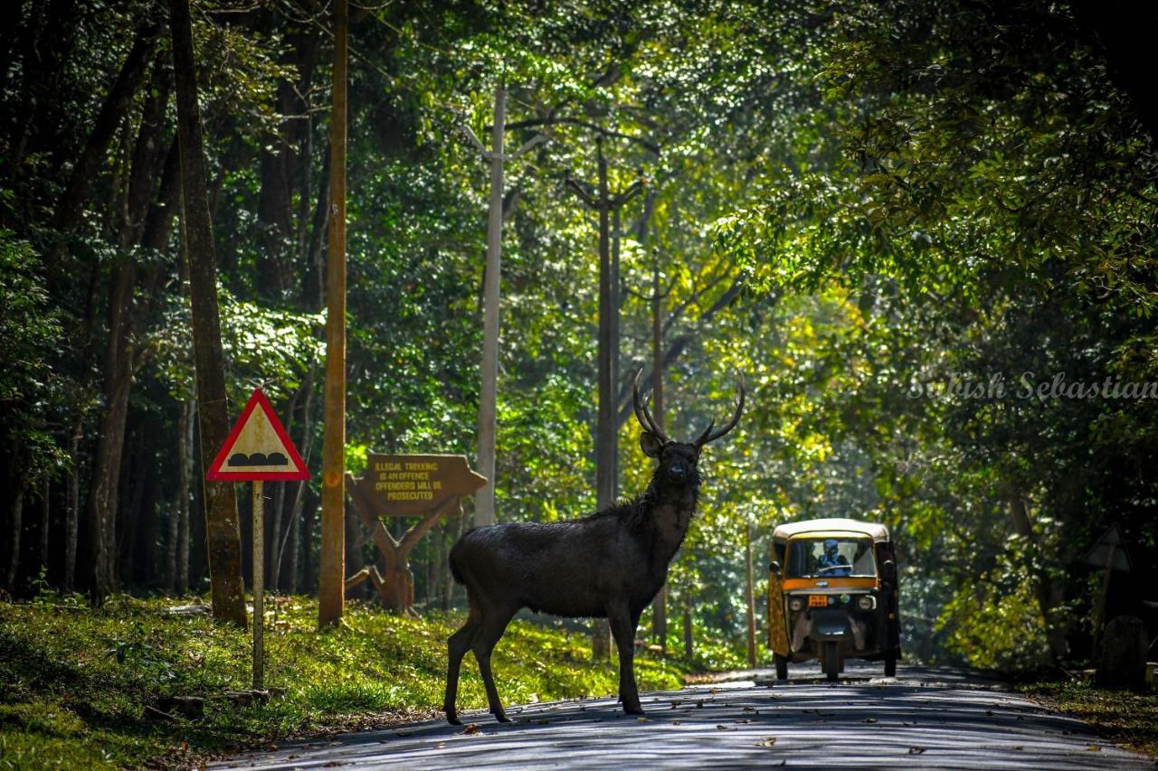 Monsoon Retreats Ecostay- Treehouse Thekkady Exterior foto